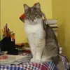 Отзыв от Лада Чернова